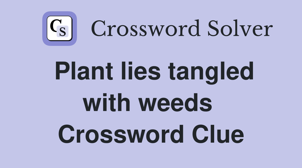 Plant lies tangled with weeds  Crossword Clue