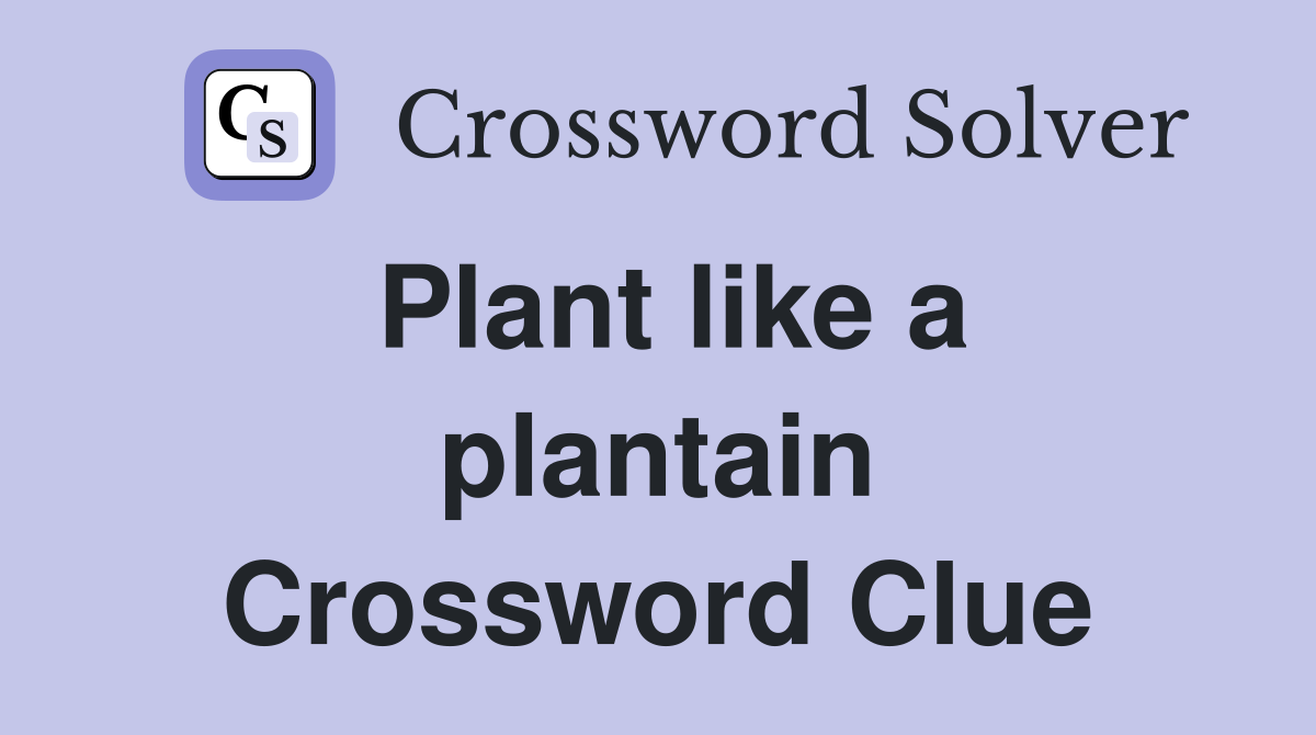 Plant like a plantain Crossword Clue