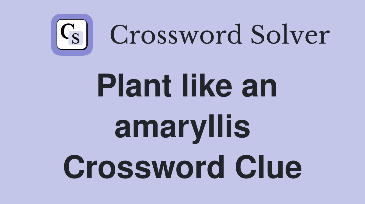 Plant like an amaryllis Crossword Clue