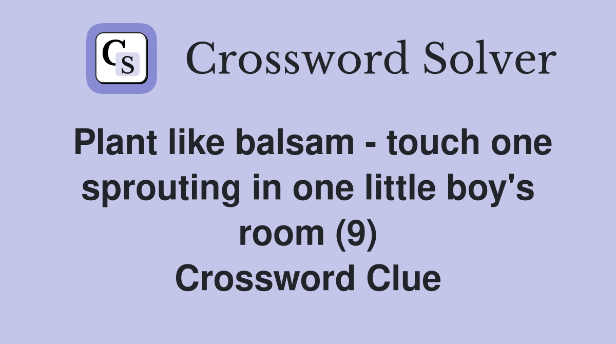 Plant like balsam - touch one sprouting in one little boy's room (9) Crossword Clue