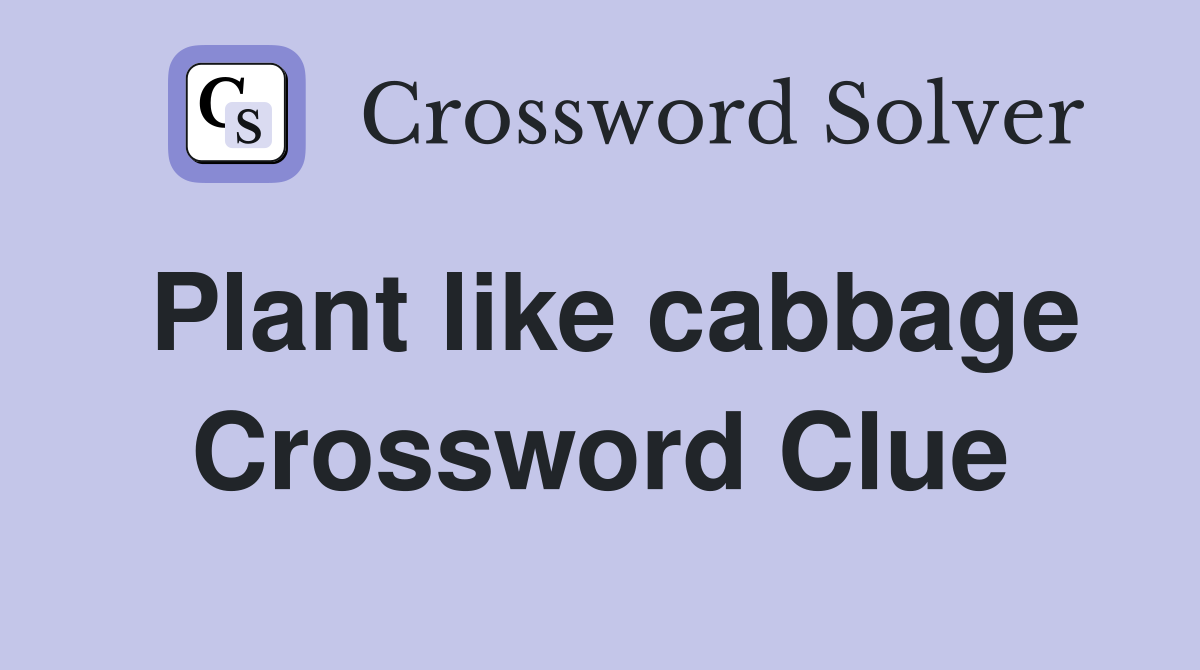 Plant like cabbage Crossword Clue
