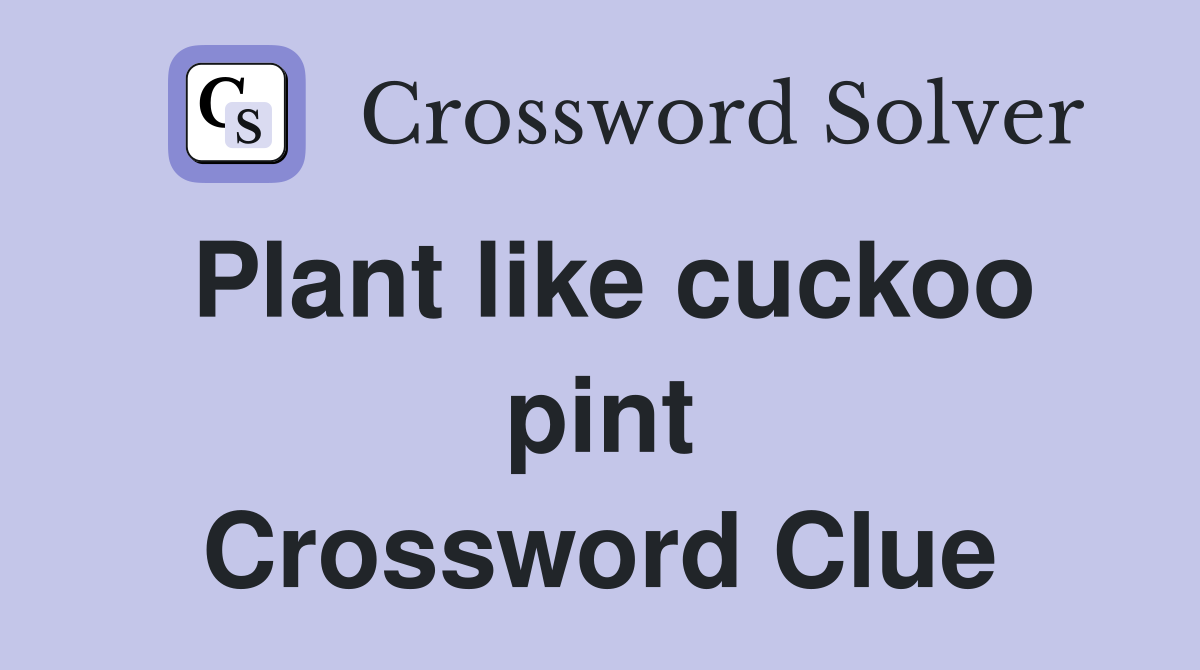 Plant like cuckoo pint Crossword Clue