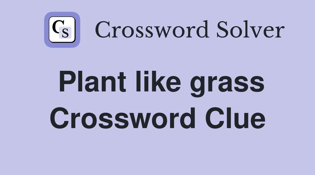 Plant like grass Crossword Clue