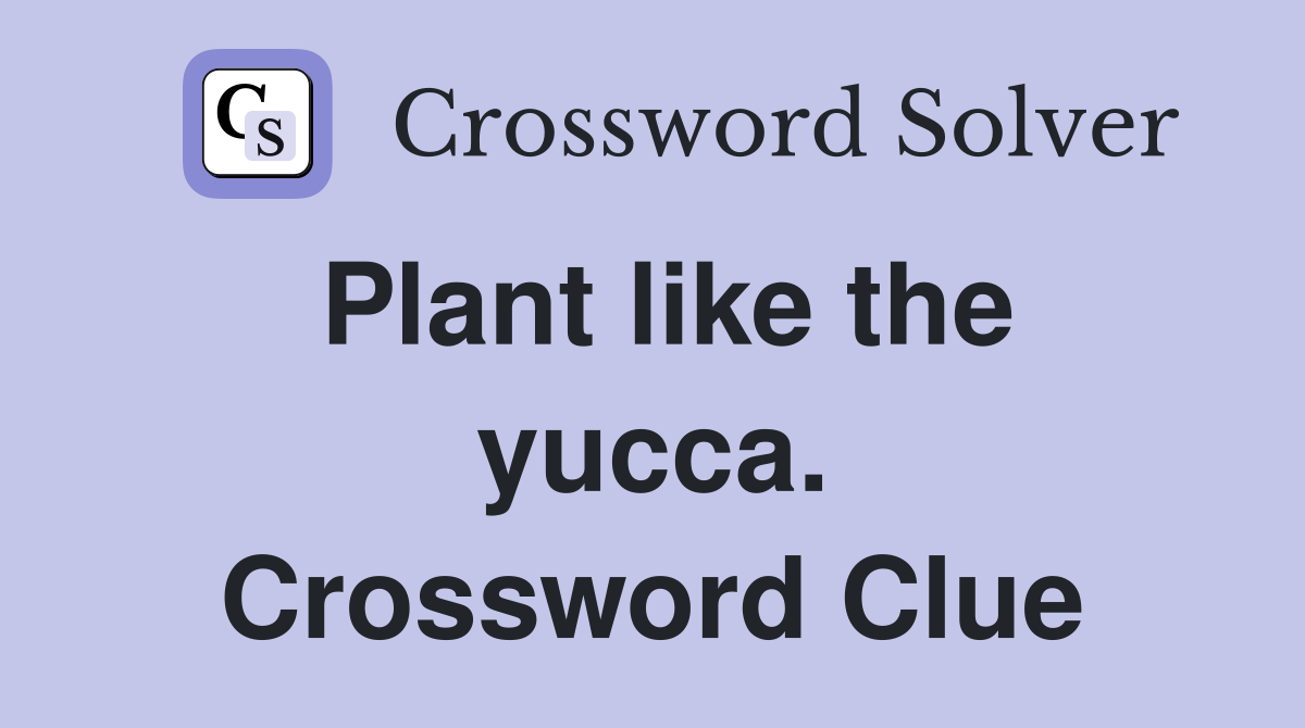Plant like the yucca. Crossword Clue