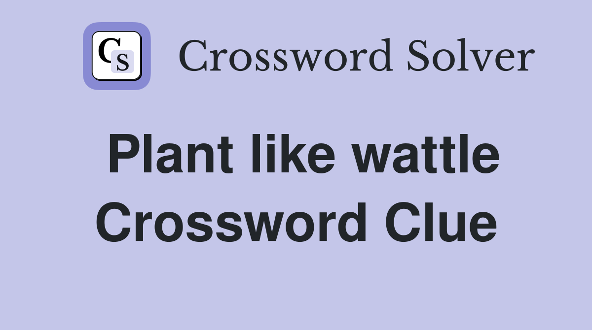 Plant like wattle Crossword Clue
