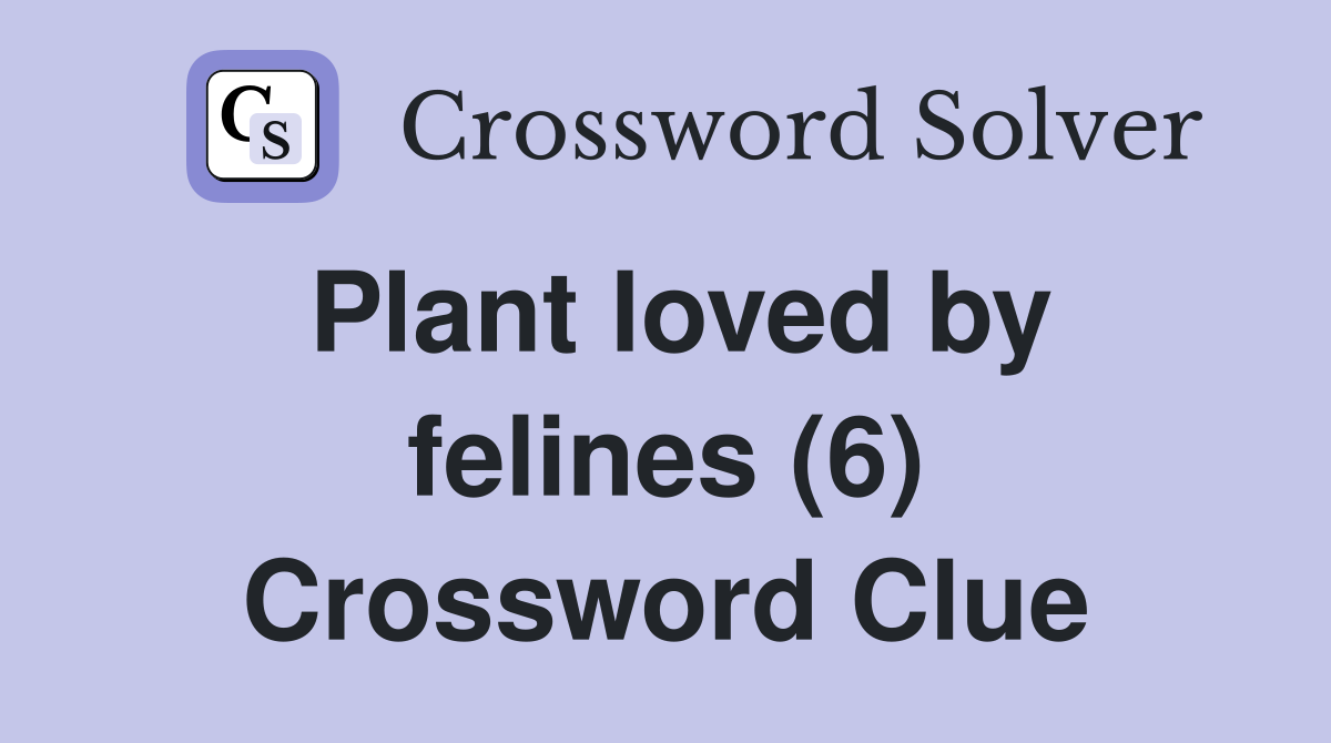 Plant loved by felines (6) Crossword Clue