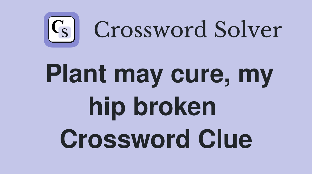 Plant may cure, my hip broken  Crossword Clue