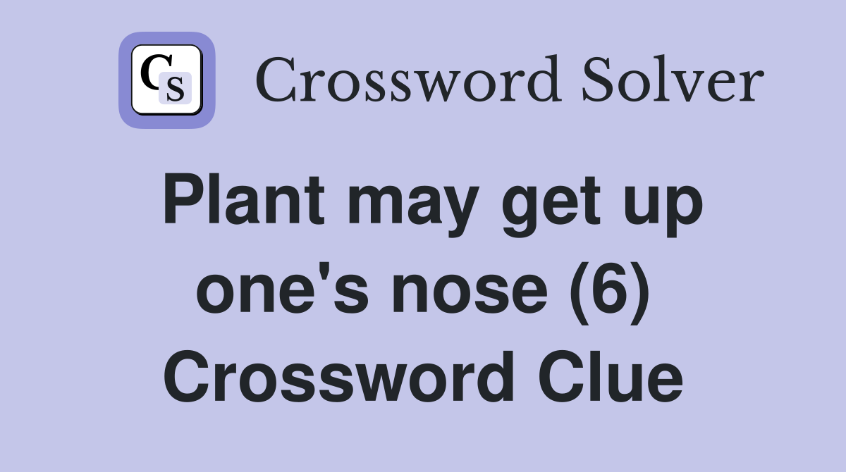 Plant may get up one's nose (6) Crossword Clue
