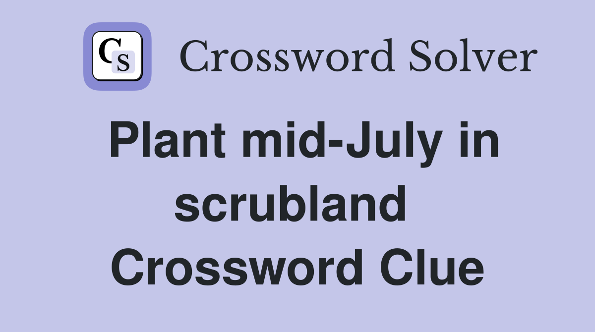 Plant mid-July in scrubland  Crossword Clue