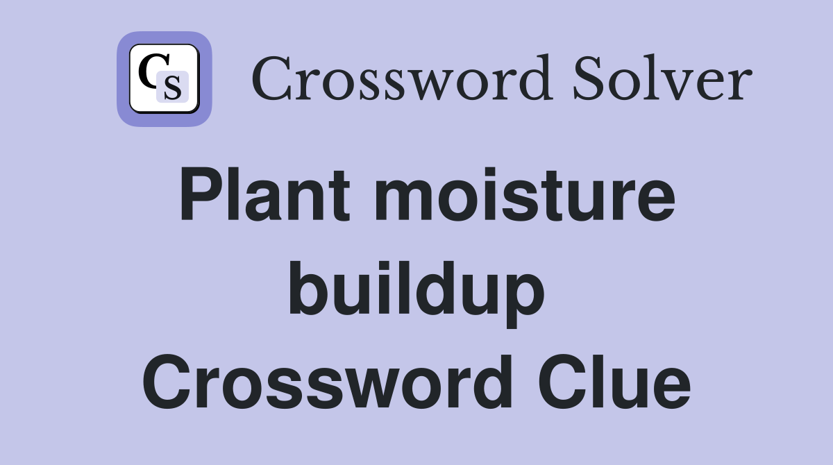 Plant moisture buildup Crossword Clue