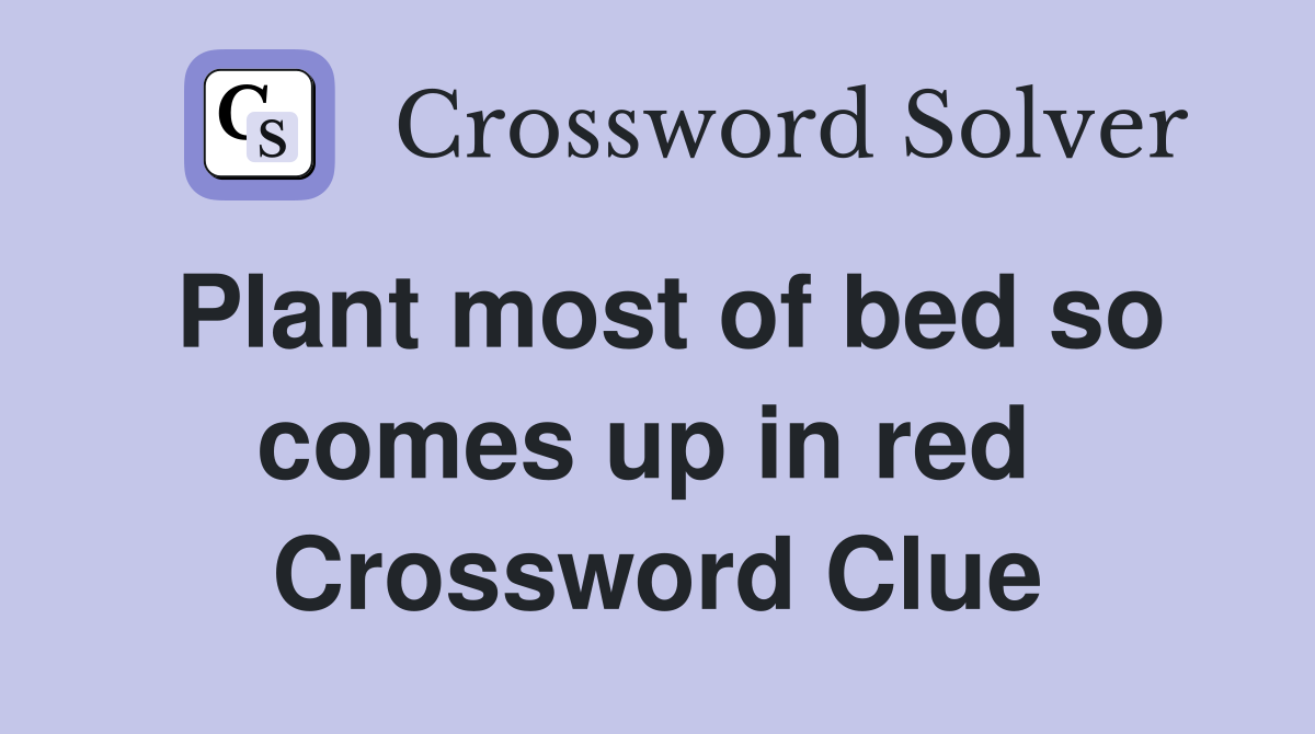 Plant most of bed so comes up in red  Crossword Clue