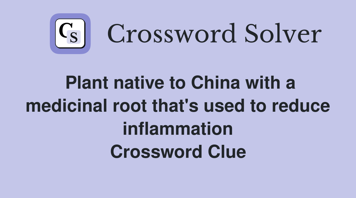 Plant native to China with a medicinal root that's used to reduce inflammation Crossword Clue