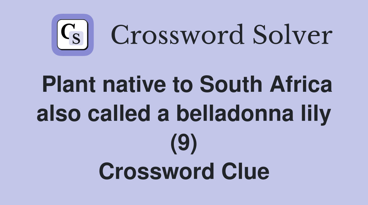 Plant native to South Africa also called a belladonna lily (9) Crossword Clue