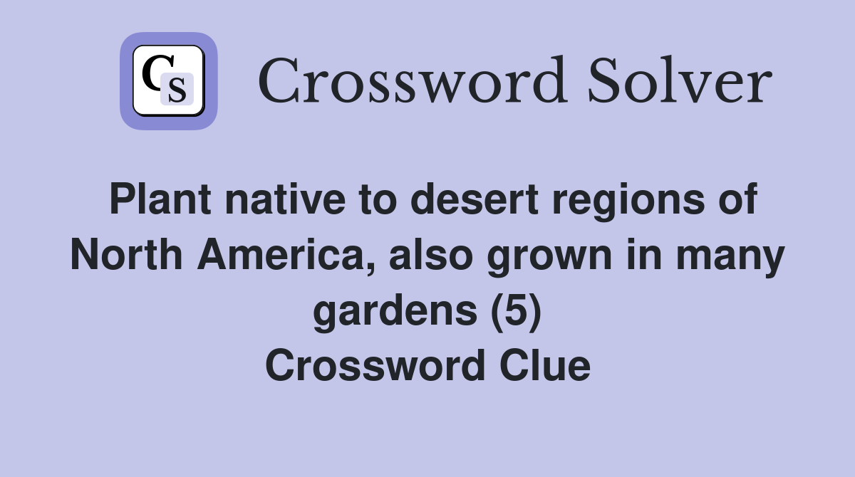 Plant native to desert regions of North America, also grown in many gardens (5) Crossword Clue