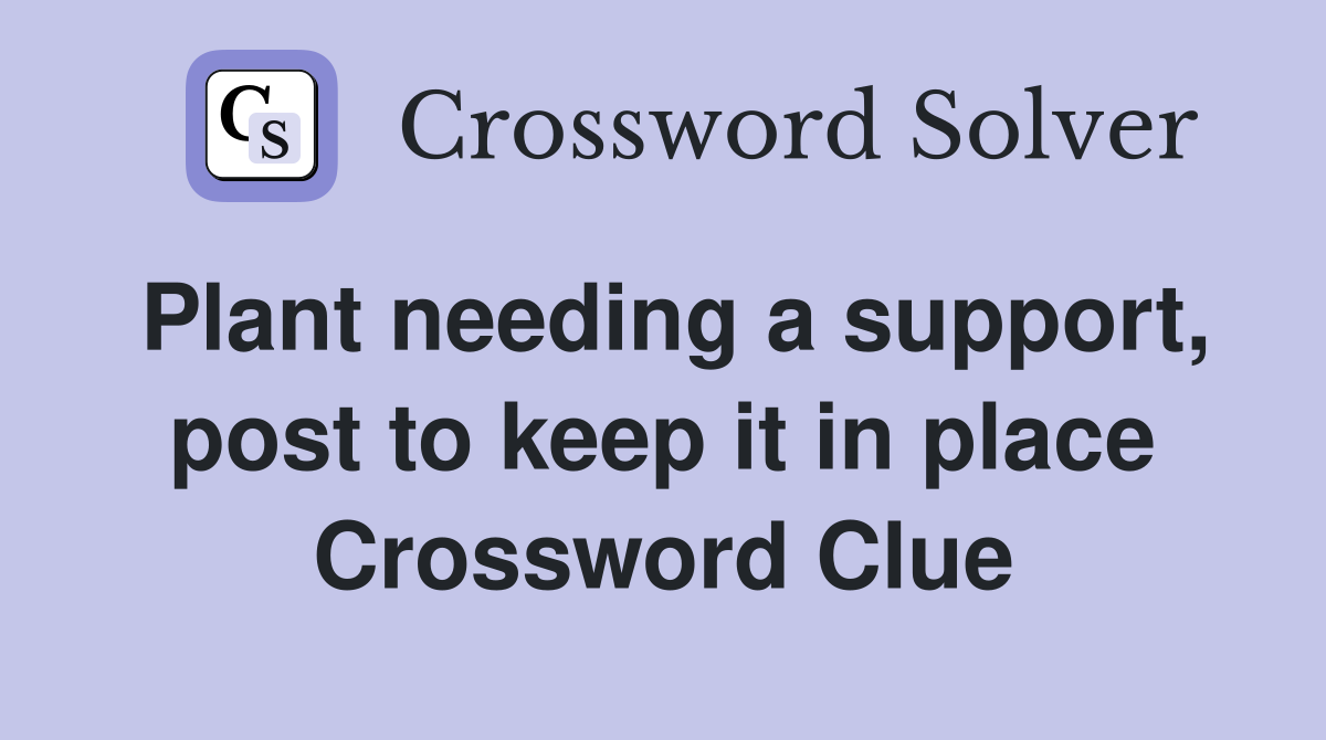 Plant needing a support, post to keep it in place Crossword Clue