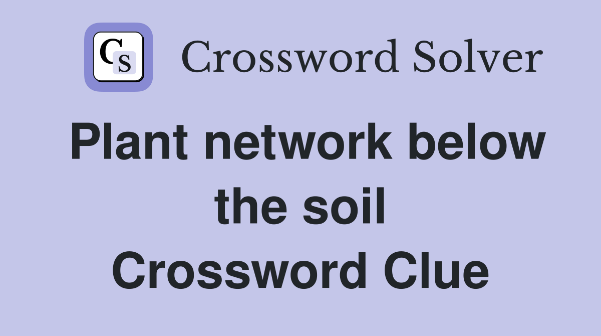 Plant network below the soil Crossword Clue