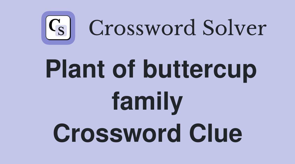 Plant of buttercup family Crossword Clue
