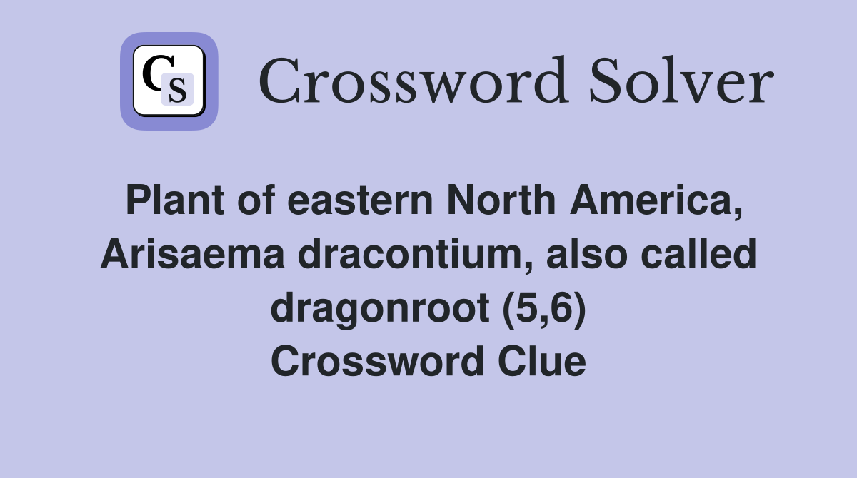 Plant of eastern North America, Arisaema dracontium, also called dragonroot (5,6) Crossword Clue