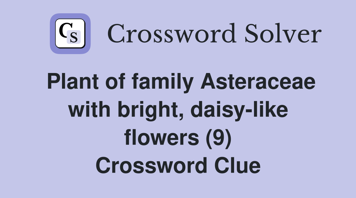 Plant of family Asteraceae with bright, daisy-like flowers (9) Crossword Clue