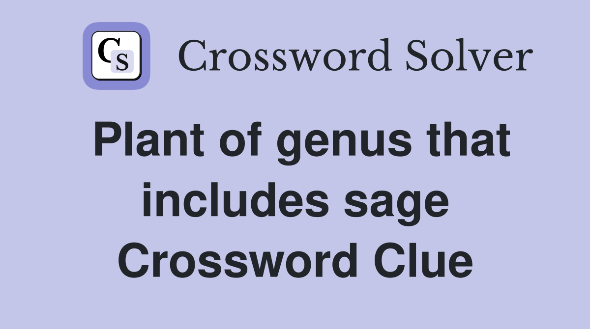 Plant of genus that includes sage Crossword Clue