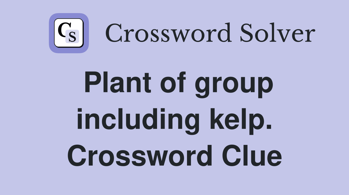 Plant of group including kelp. Crossword Clue