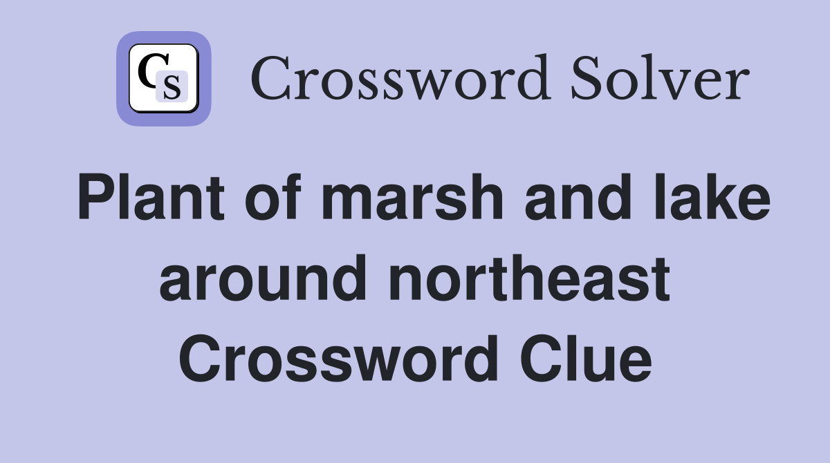 Plant of marsh and lake around northeast Crossword Clue