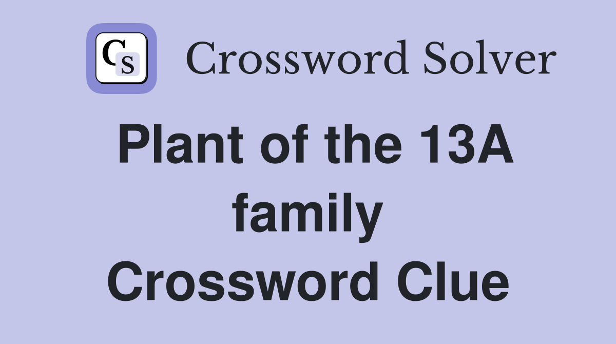 Plant of the 13A family Crossword Clue