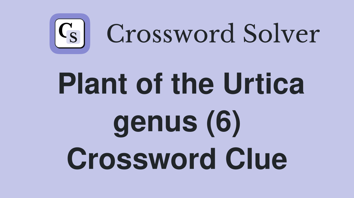 Plant of the Urtica genus (6) Crossword Clue