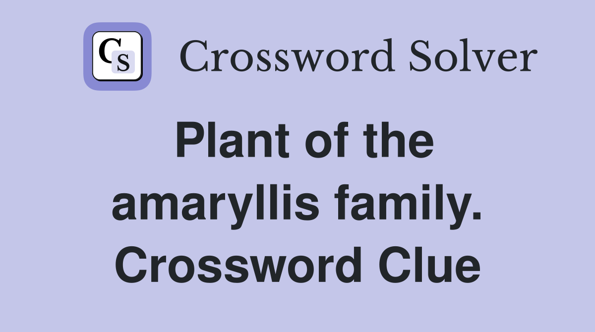 Plant of the amaryllis family. Crossword Clue