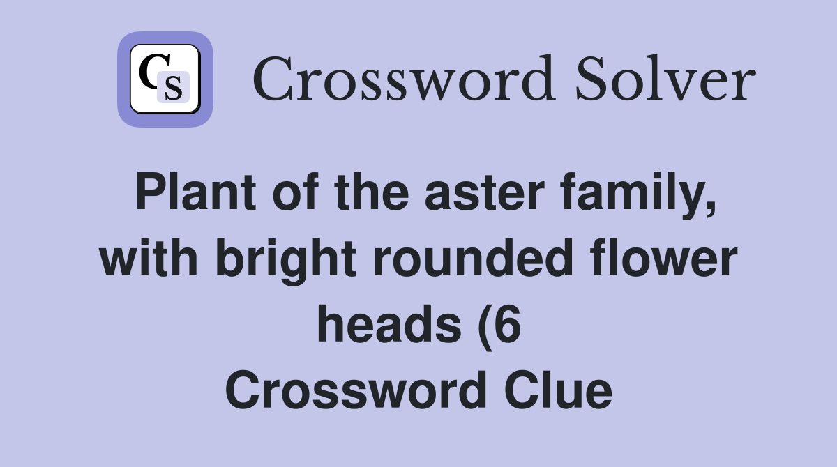 Plant of the aster family with bright rounded flower heads (6 Plant of the aster family with bright rounded flower heads (6