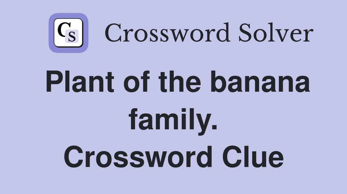 Plant of the banana family. Crossword Clue