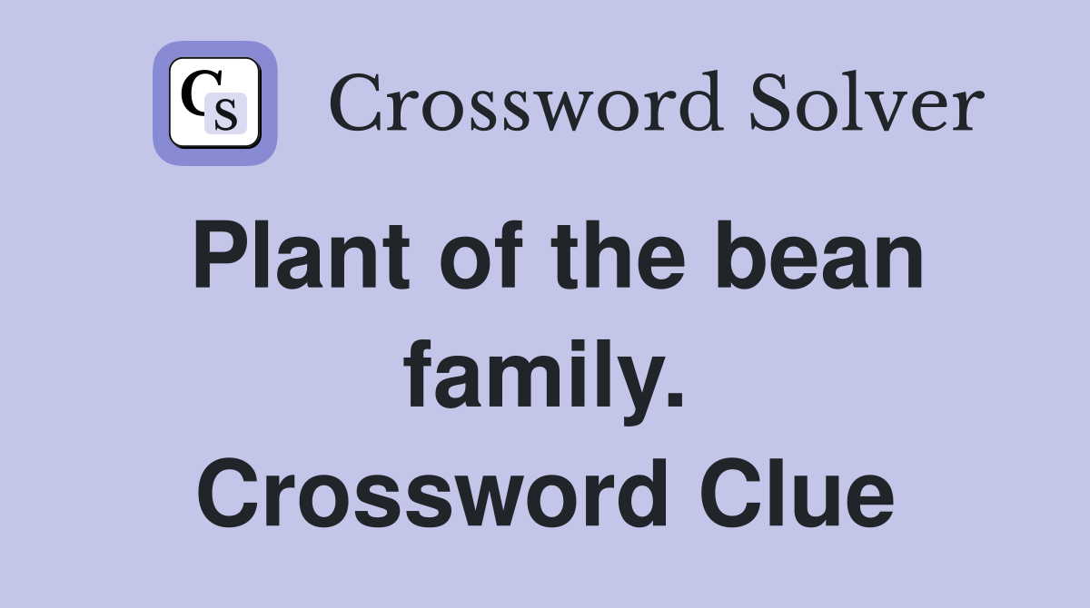 Plant of the bean family. Crossword Clue