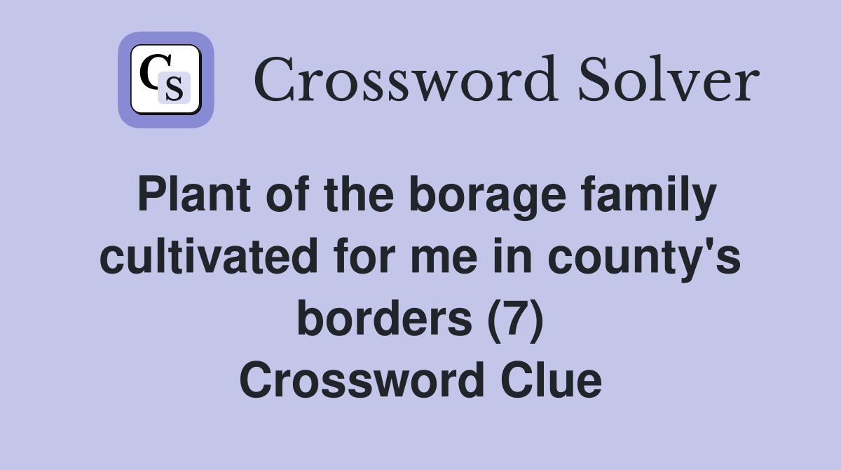 Plant of the borage family cultivated for me in county's borders (7) Crossword Clue