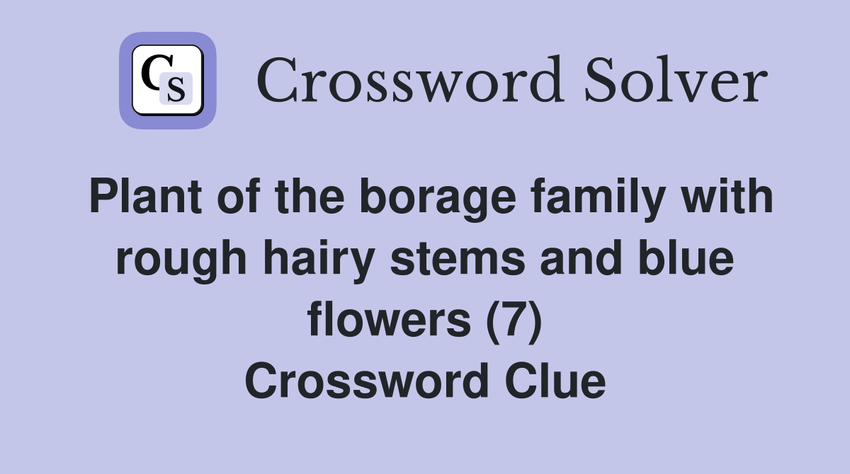 Plant of the borage family with rough hairy stems and blue flowers (7) Crossword Clue