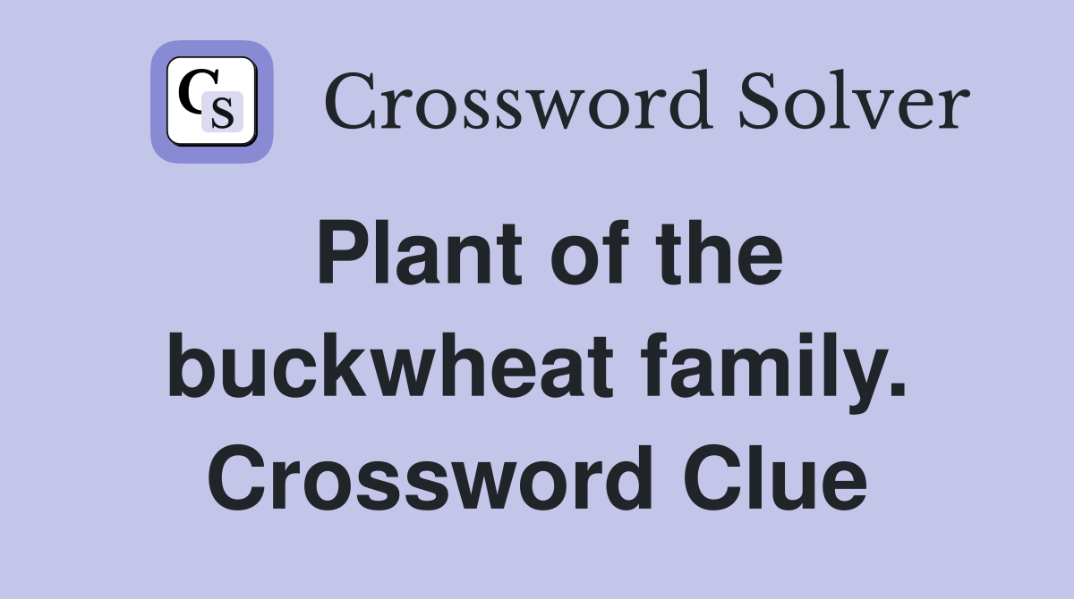 Plant of the buckwheat family. Crossword Clue