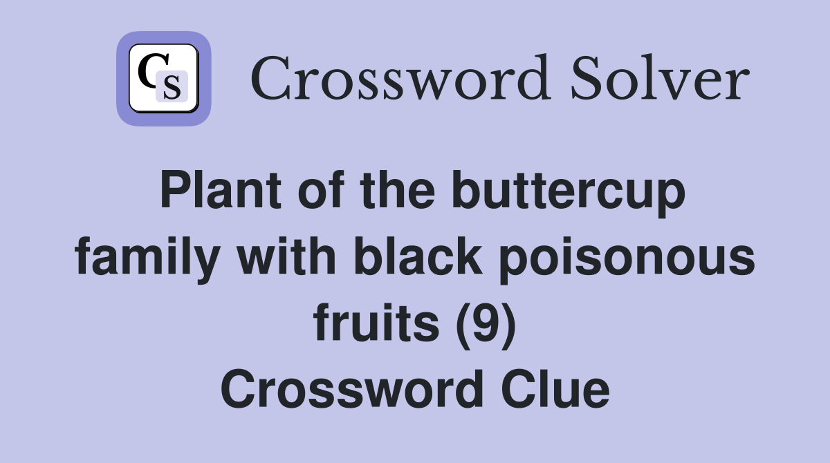 Plant of the buttercup family with black poisonous fruits (9) Crossword Clue