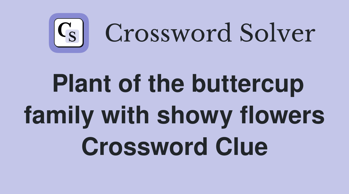 Plant of the buttercup family with showy flowers Crossword Clue