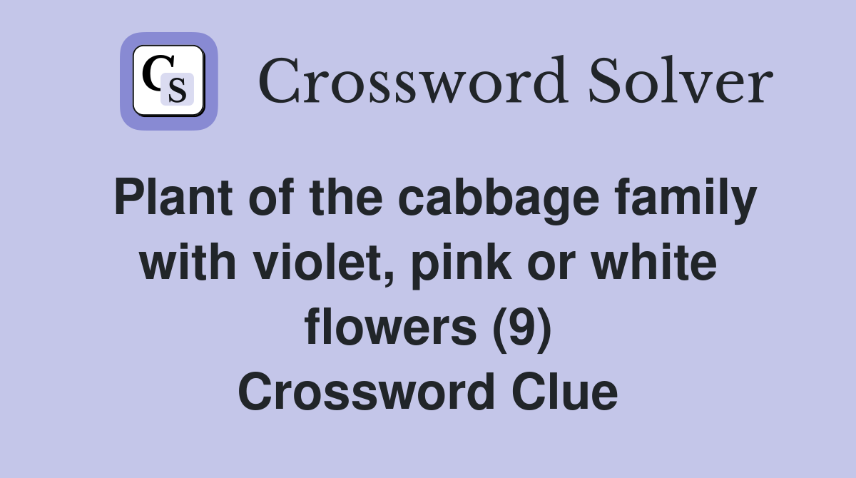 Plant of the cabbage family with violet, pink or white flowers (9) Crossword Clue