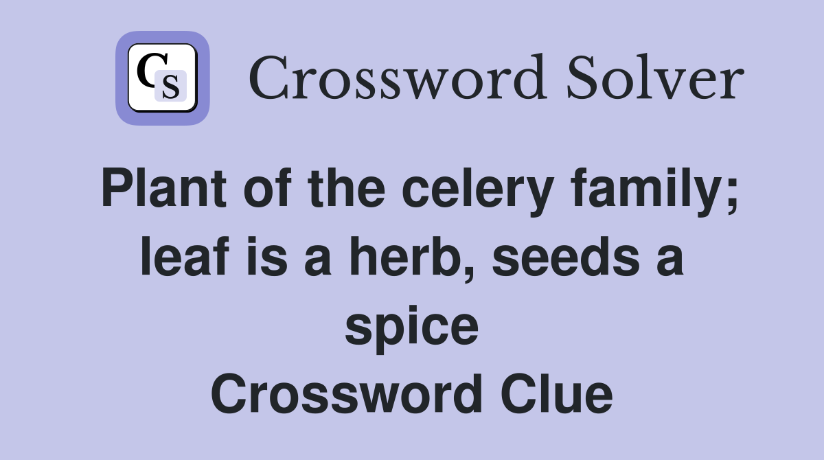 Plant of the celery family; leaf is a herb, seeds a spice Crossword Clue