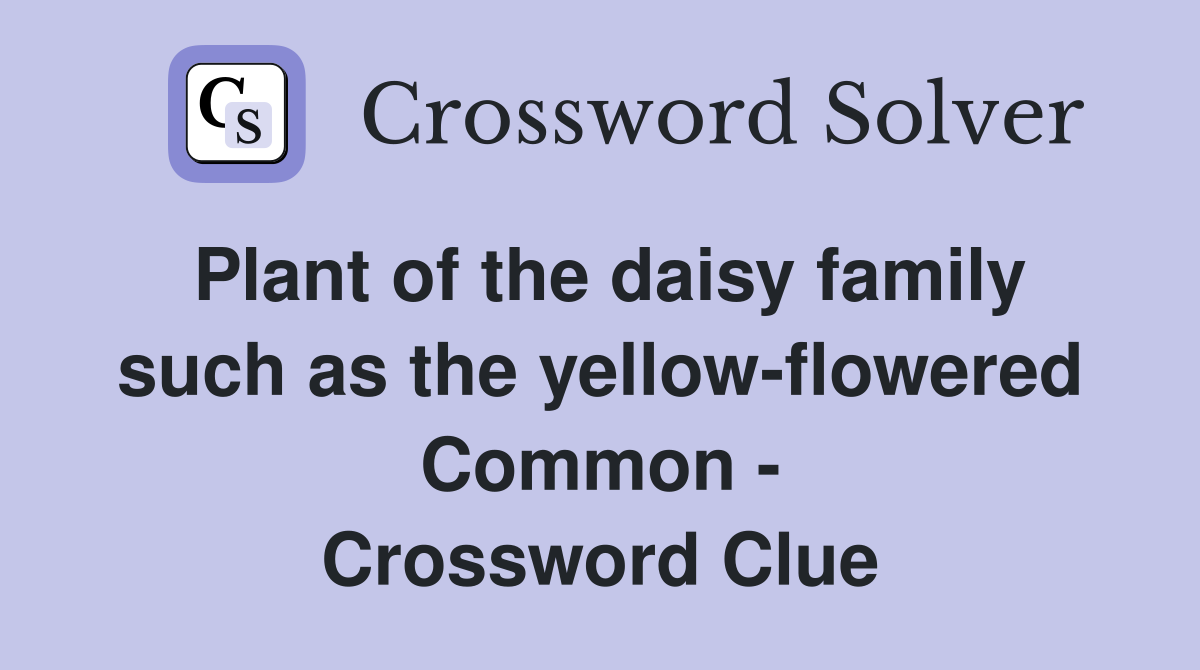 Plant of the daisy family such as the yellow-flowered Common - Crossword Clue