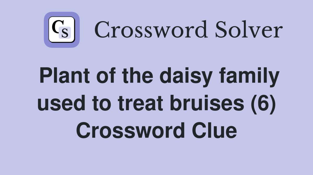 Plant of the daisy family used to treat bruises (6) Crossword Clue