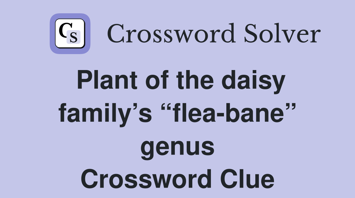 Plant of the daisy family’s “flea-bane” genus Crossword Clue