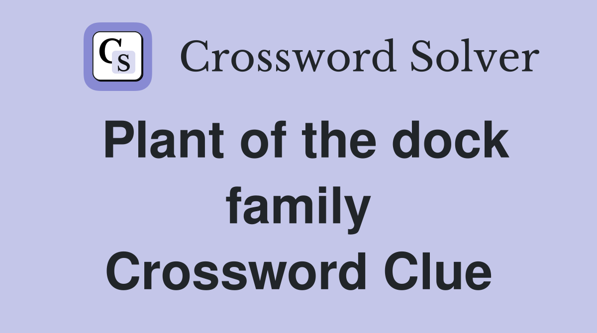 Plant of the dock family Crossword Clue