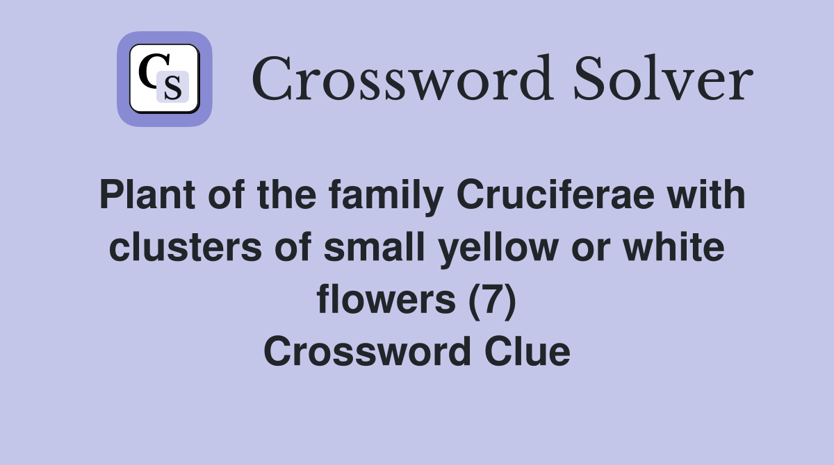 Plant of the family Cruciferae with clusters of small yellow or white flowers (7) Crossword Clue