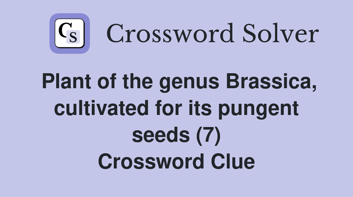 Plant of the genus Brassica, cultivated for its pungent seeds (7) Crossword Clue