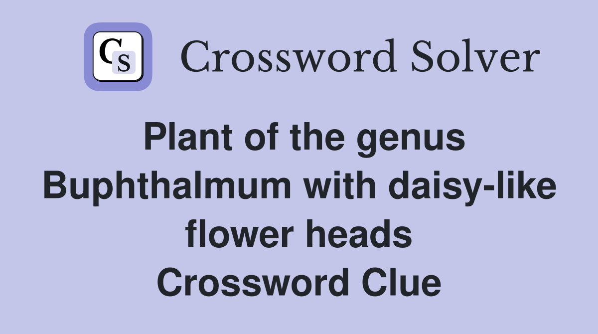 Plant of the genus Buphthalmum with daisy-like flower heads Crossword Clue