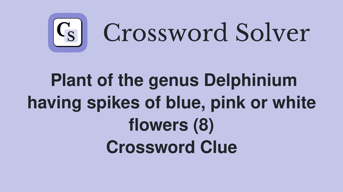 Plant of the genus Delphinium having spikes of blue, pink or white flowers (8) Crossword Clue