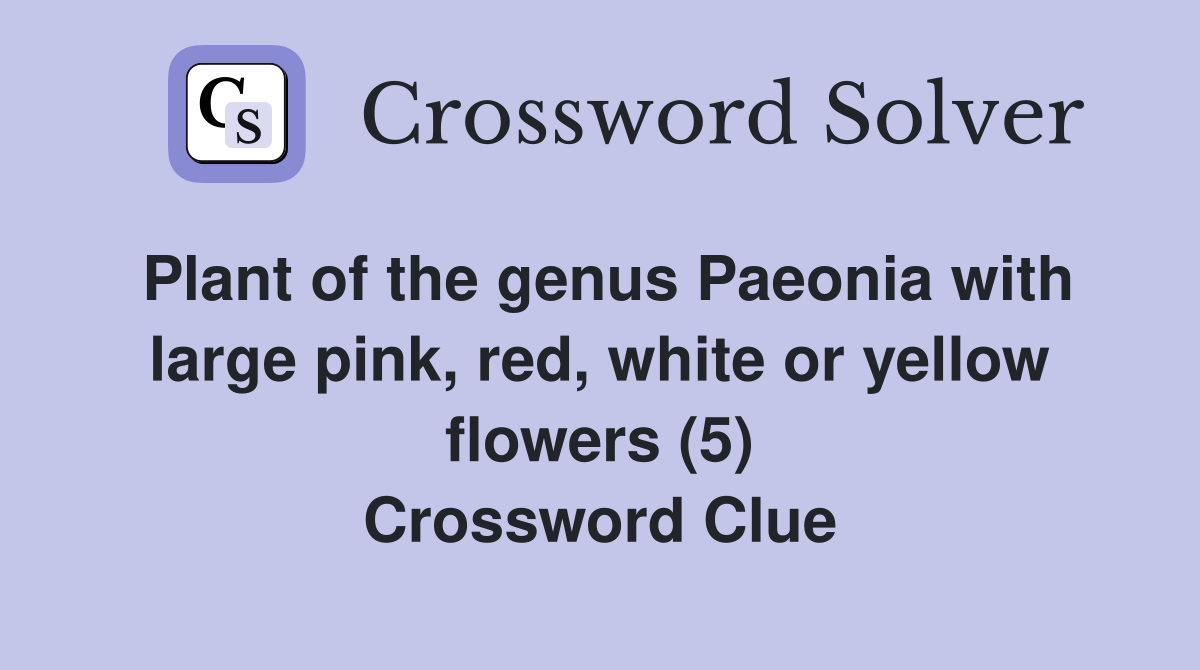 Plant of the genus Paeonia with large pink, red, white or yellow flowers (5) Crossword Clue