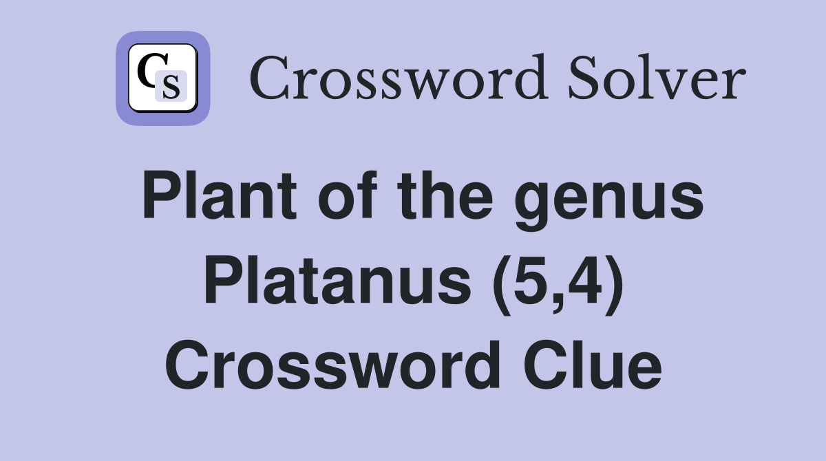Plant of the genus Platanus (5,4) Crossword Clue