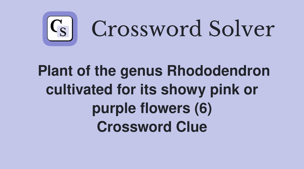 Plant of the genus Rhododendron cultivated for its showy pink or purple flowers (6) Crossword Clue